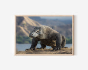 Island Titan – Komodo Dragon Wildlife Wall Art Print