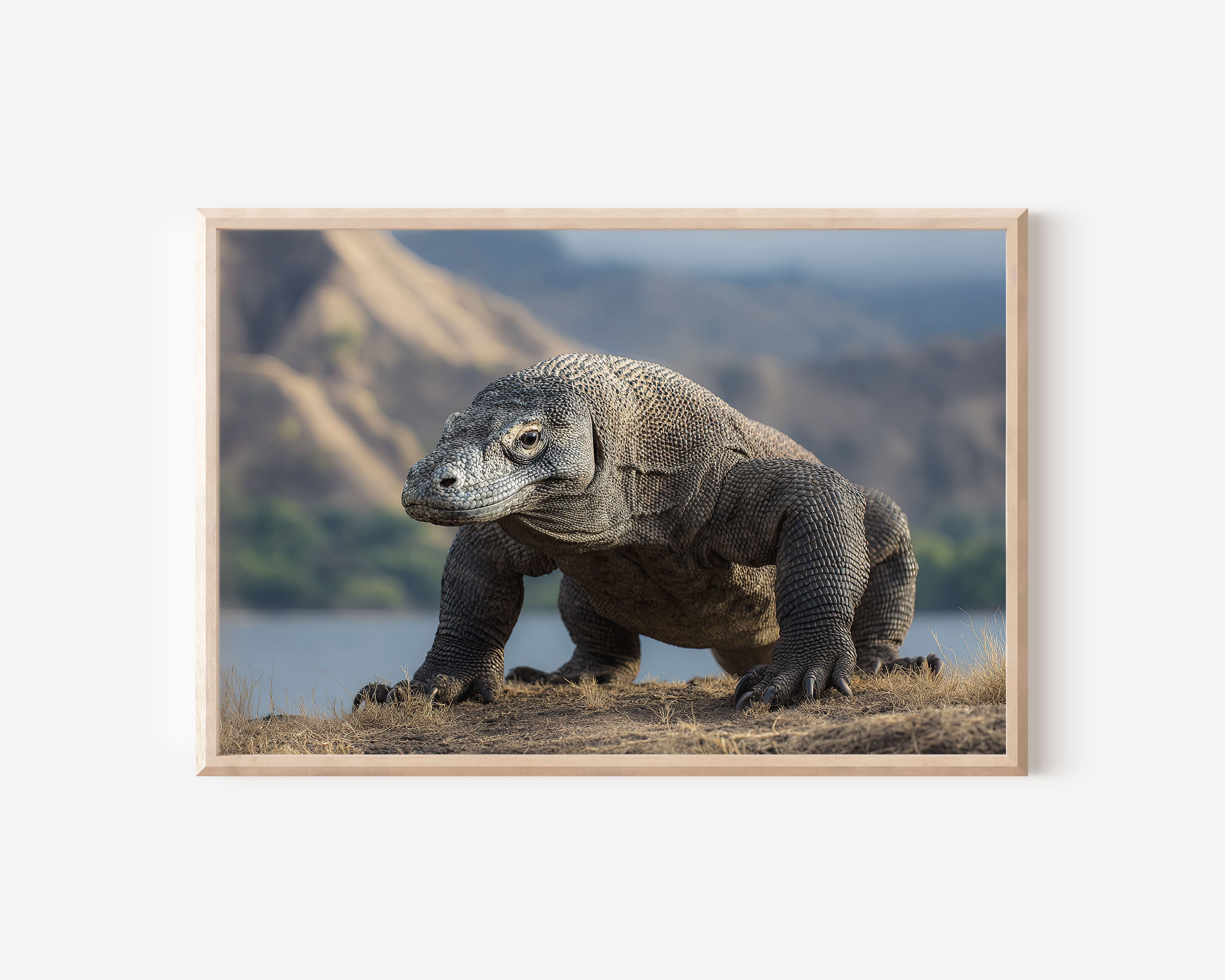 Island Titan – Komodo Dragon Wildlife Wall Art Print