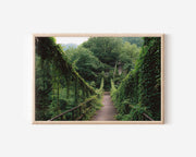 Iya Valley Vine Bridge Wall Art Print, Shikoku Japan Forest Landscape