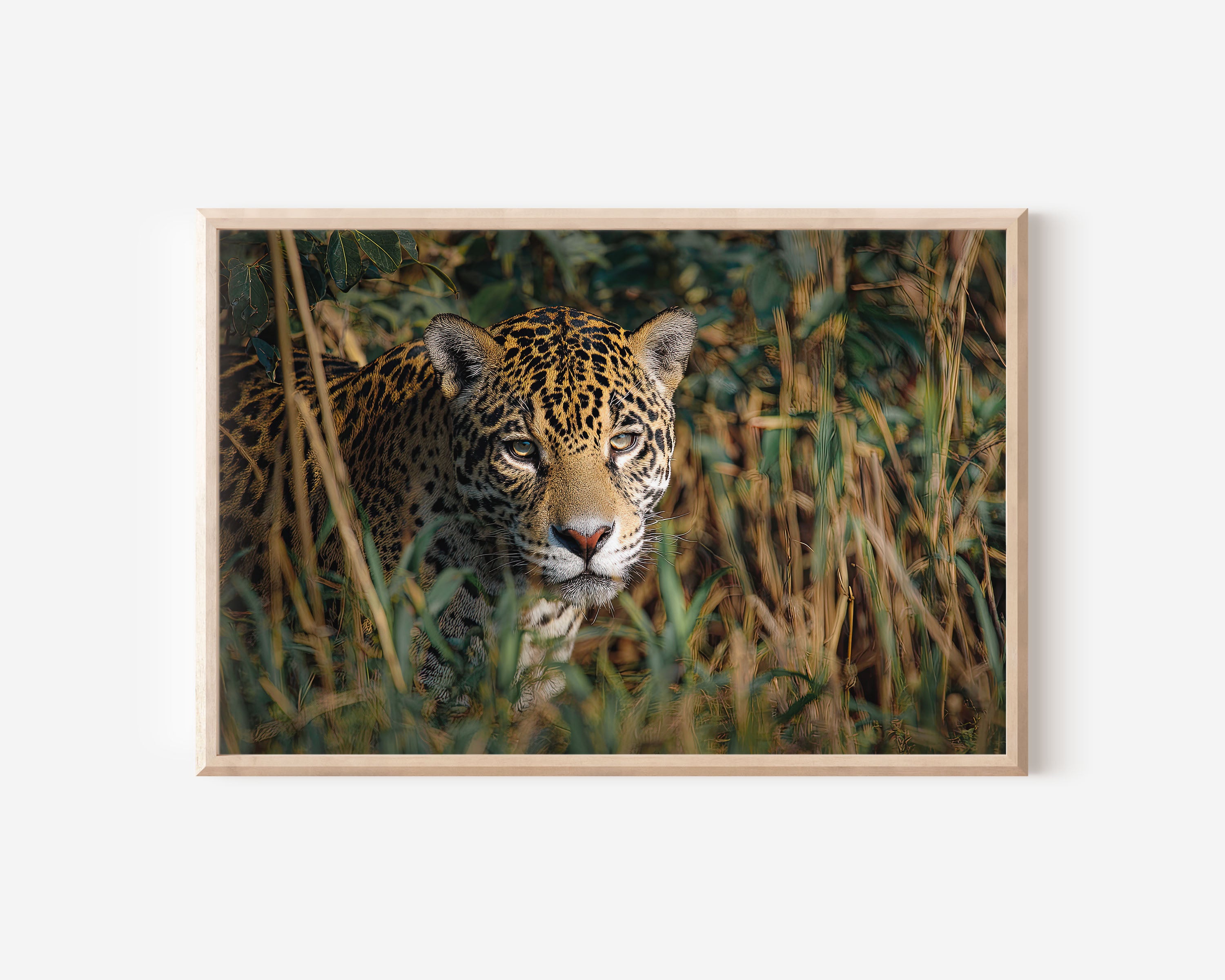 Jaguar Wall Art – Pantanal Wildlife Photography Print