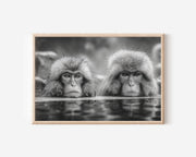 Japanese Macaque Black & White Wildlife Wall Art