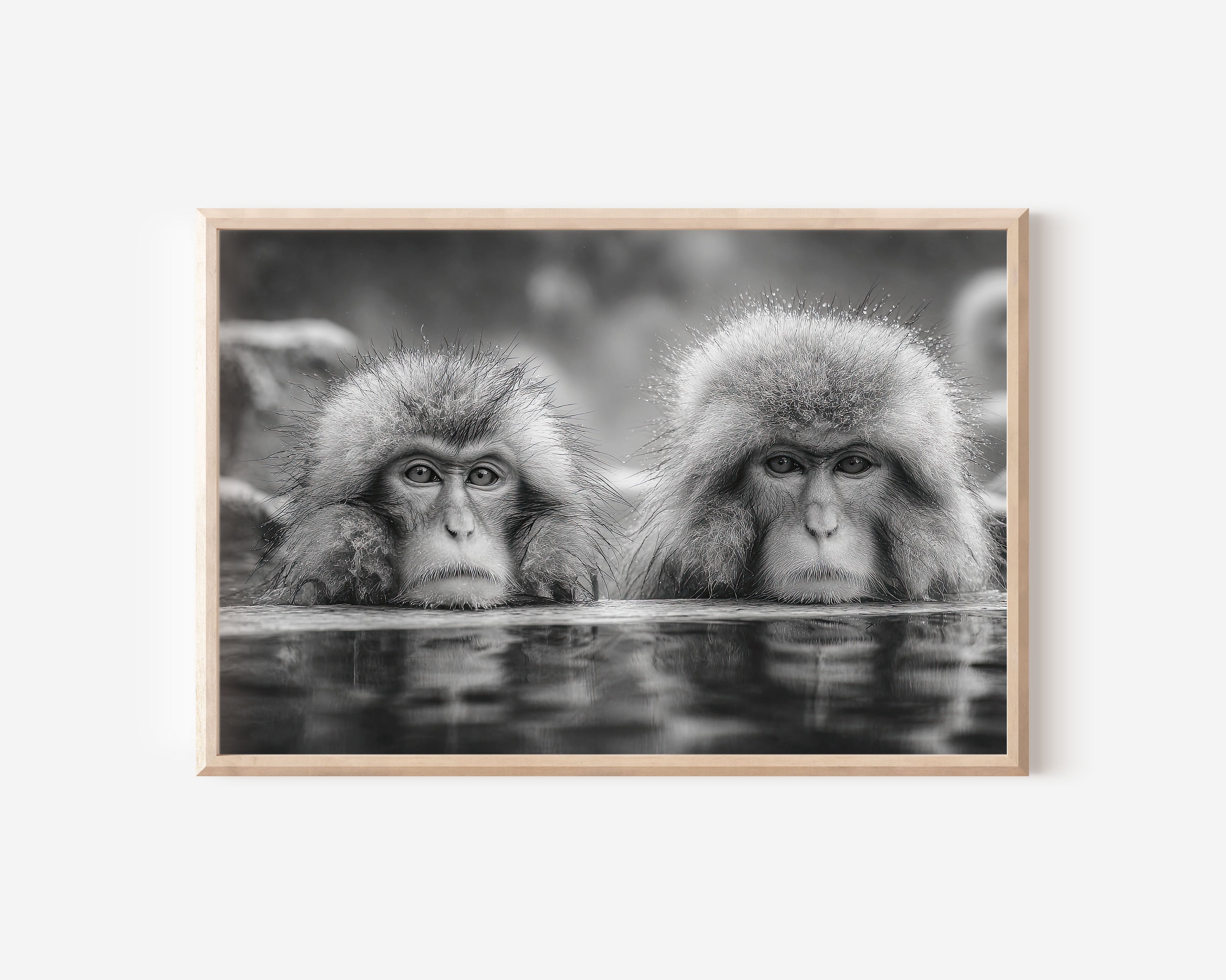 Japanese Macaque Black & White Wildlife Wall Art