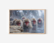 Japanese Macaques Wall Art – Snow Monkey Hot Spring Print