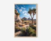 Joshua Tree National Park Wall Art Print | California Desert Landscape Photography | Southwest Nature Poster