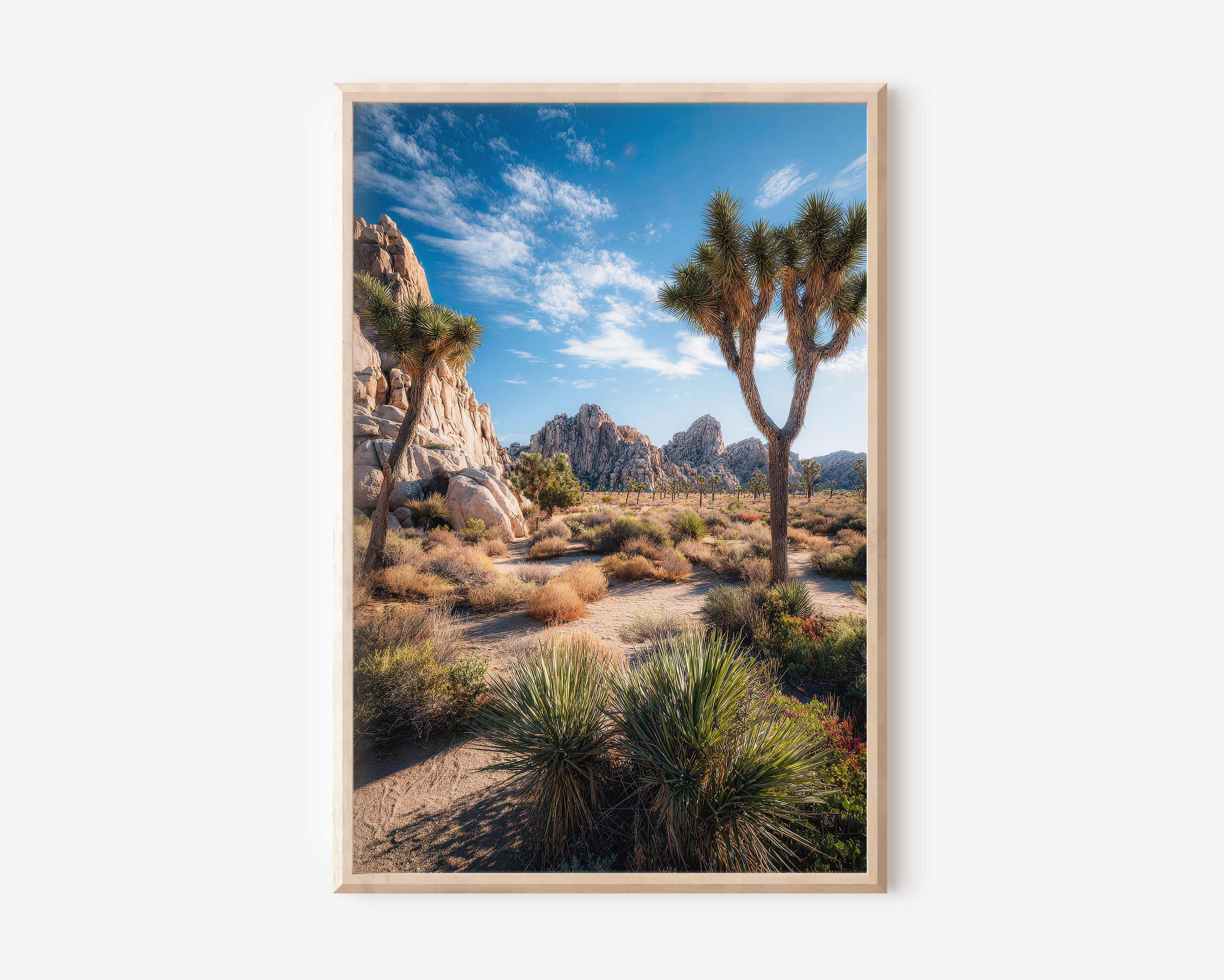 Joshua Tree National Park Wall Art Print | California Desert Landscape Photography | Southwest Nature Poster