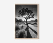 Joshua Tree Desert Sunburst Black and White Wall Art Print | California Desert Photography Poster | Minimalist Nature Decor