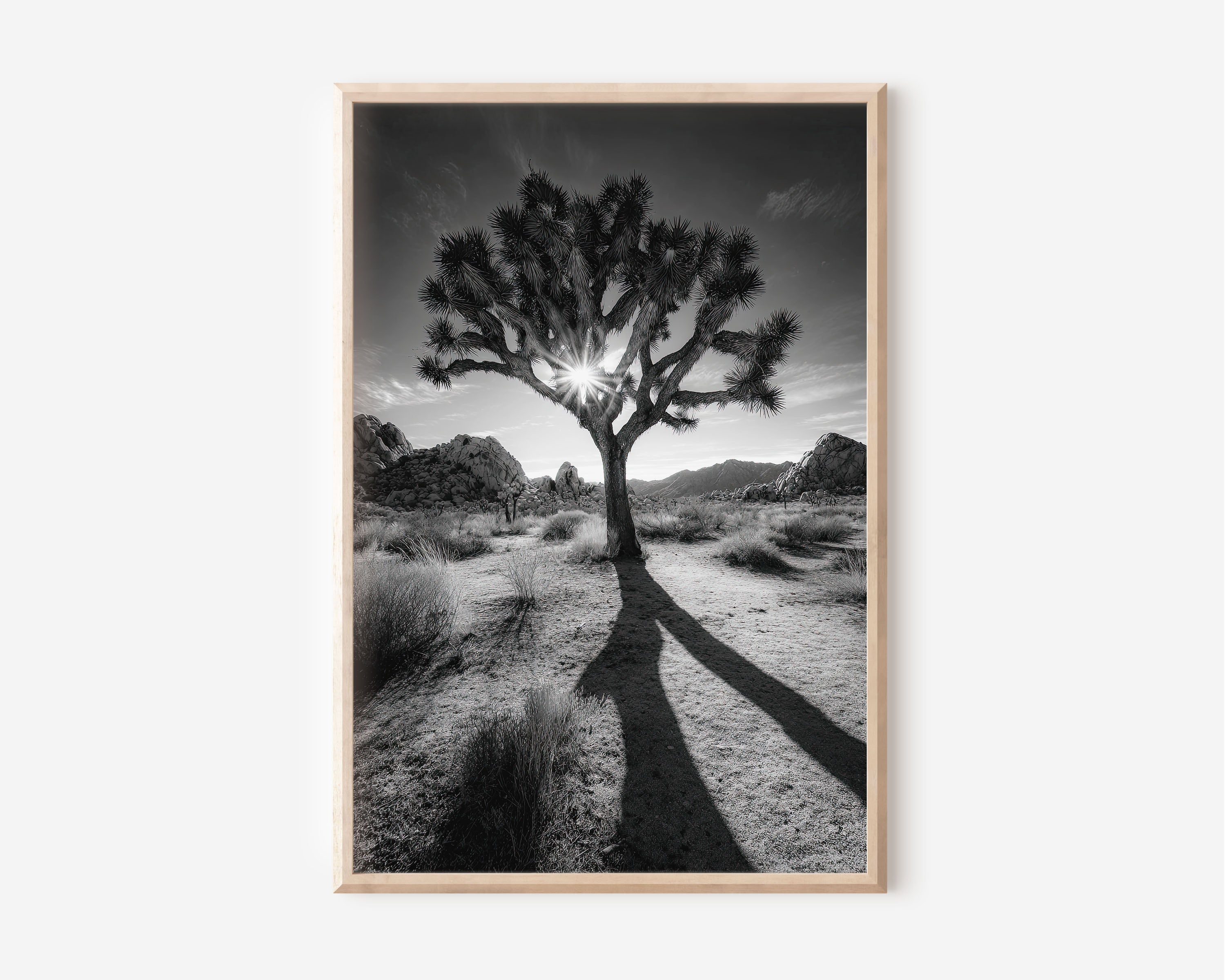 Joshua Tree Desert Sunburst Black and White Wall Art Print | California Desert Photography Poster | Minimalist Nature Decor