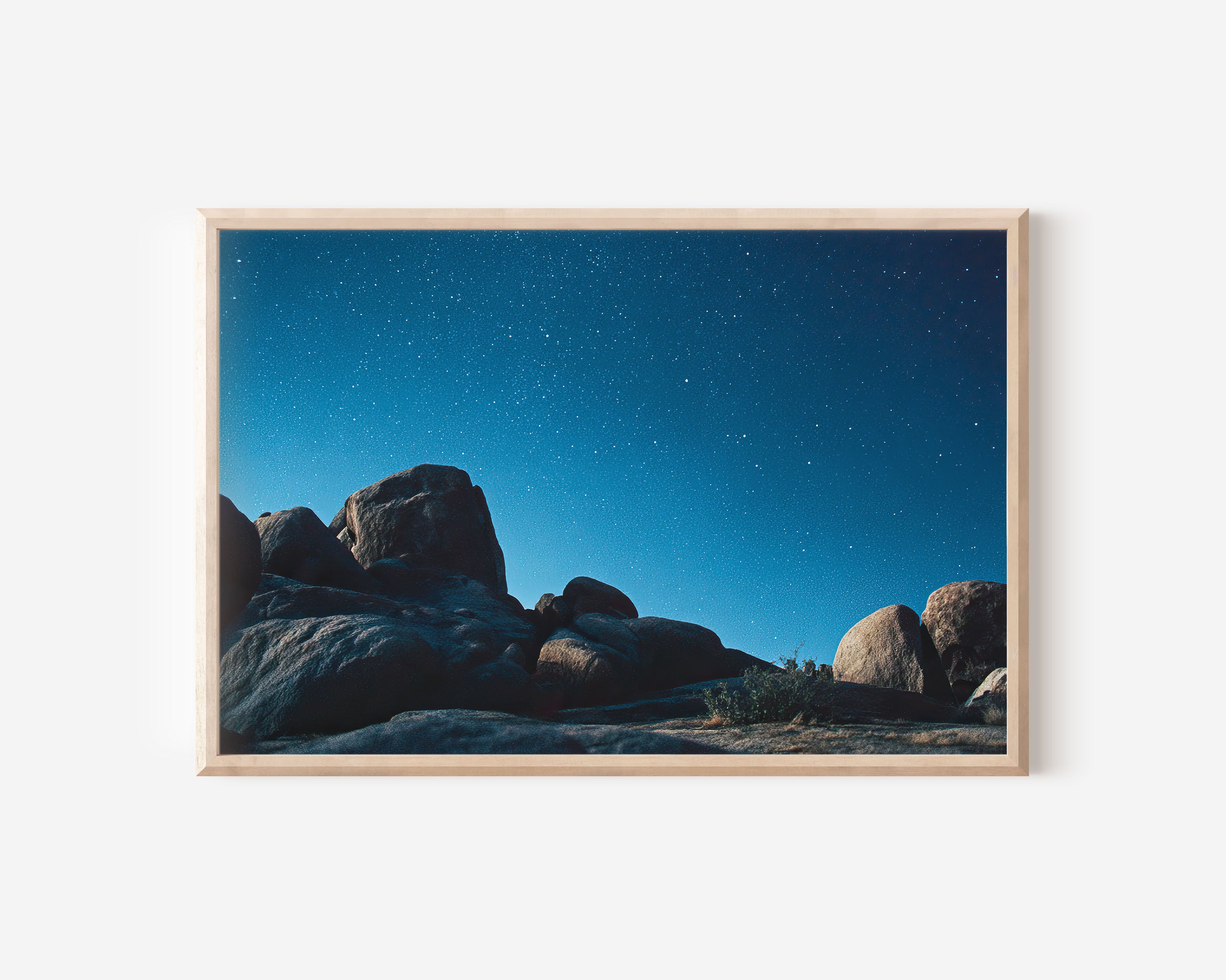 Joshua Tree Night Sky Wall Art