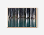 Kaindy Lake Submerged Forest Wall Art Print – Turquoise Water & Pine Tree Reflection Landscape