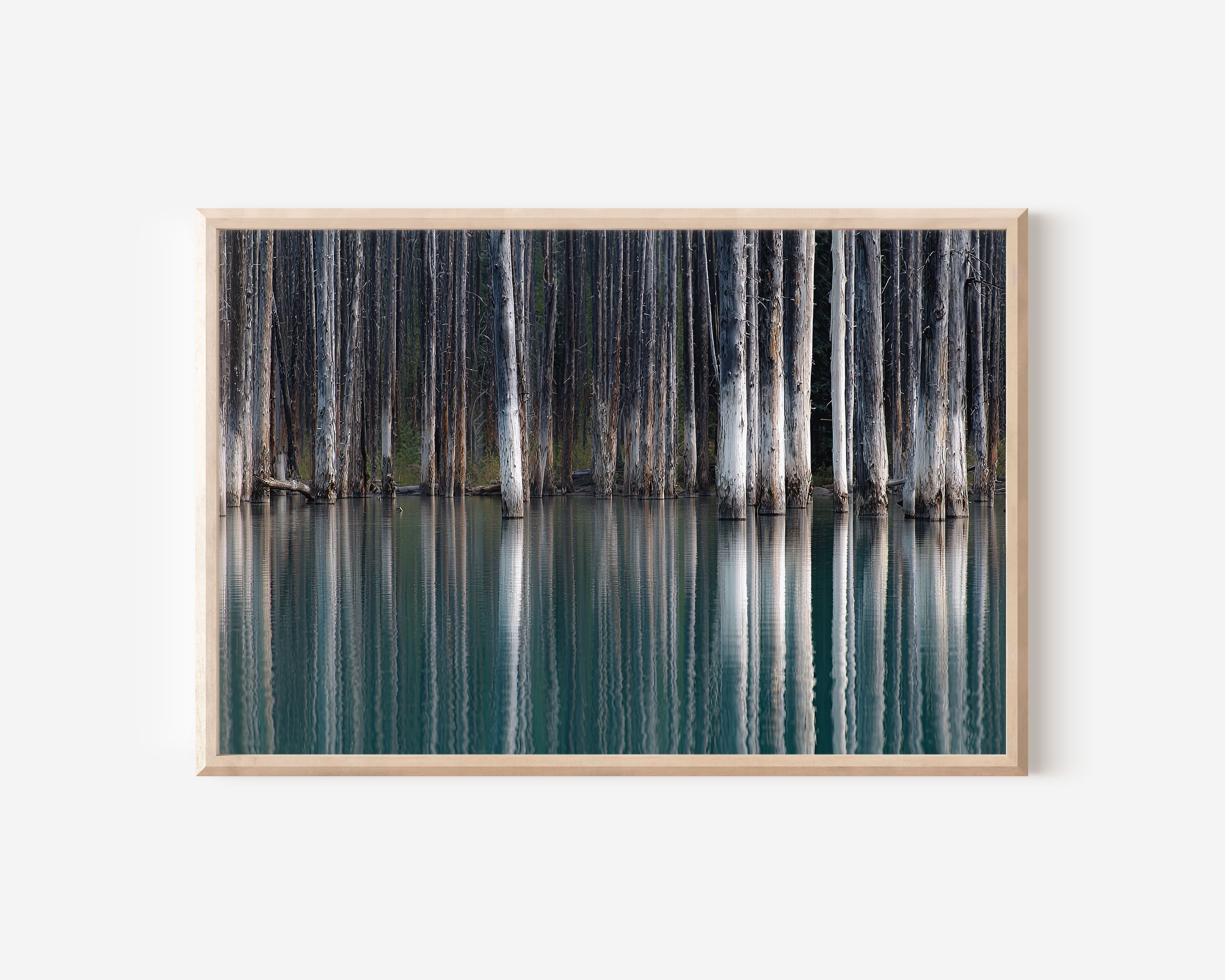 Kaindy Lake Submerged Forest Wall Art Print – Turquoise Water & Pine Tree Reflection Landscape