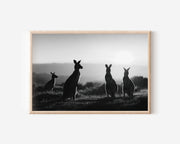 Kangaroos Silhouette Black & White Wall Art