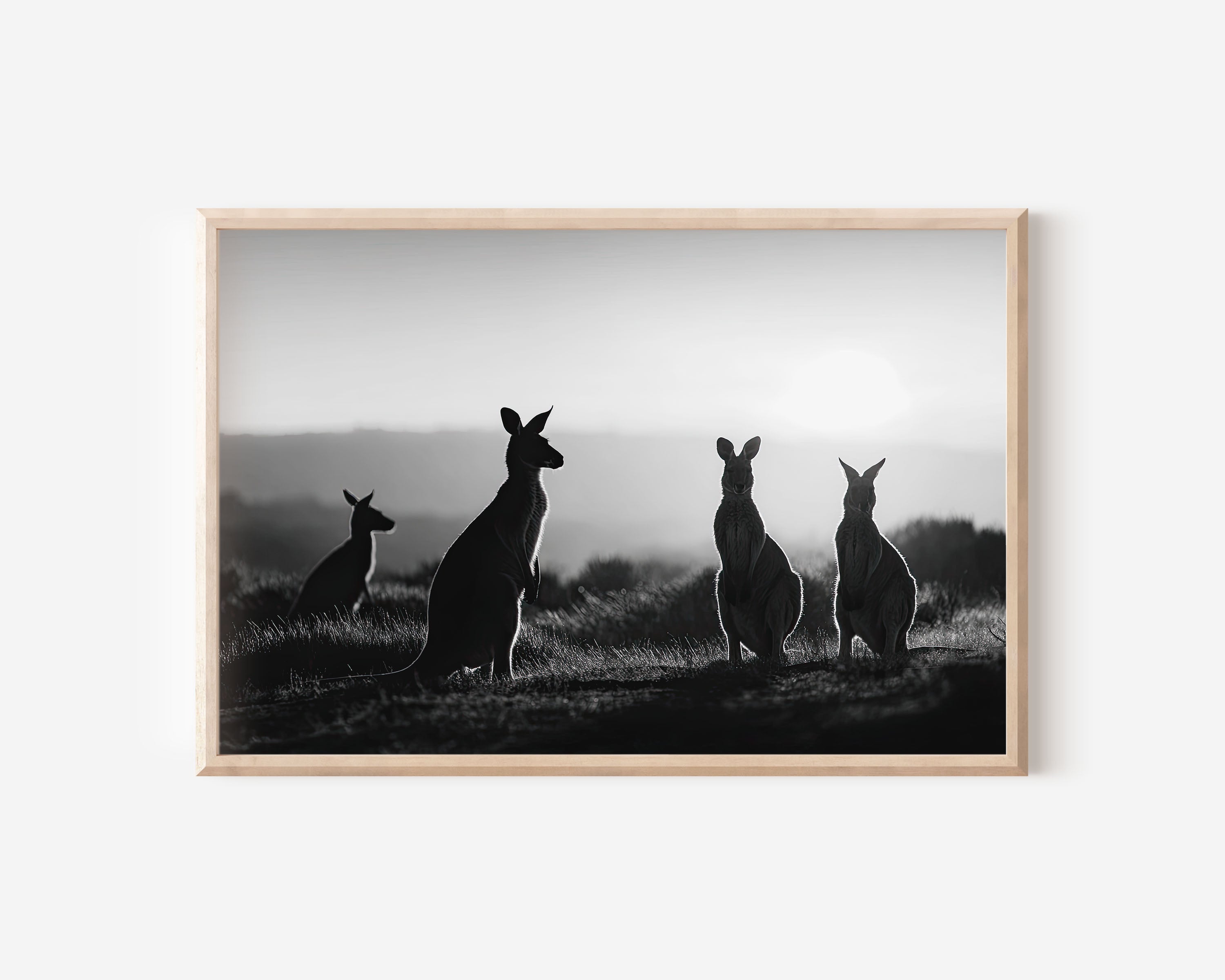 Kangaroos Silhouette Black & White Wall Art