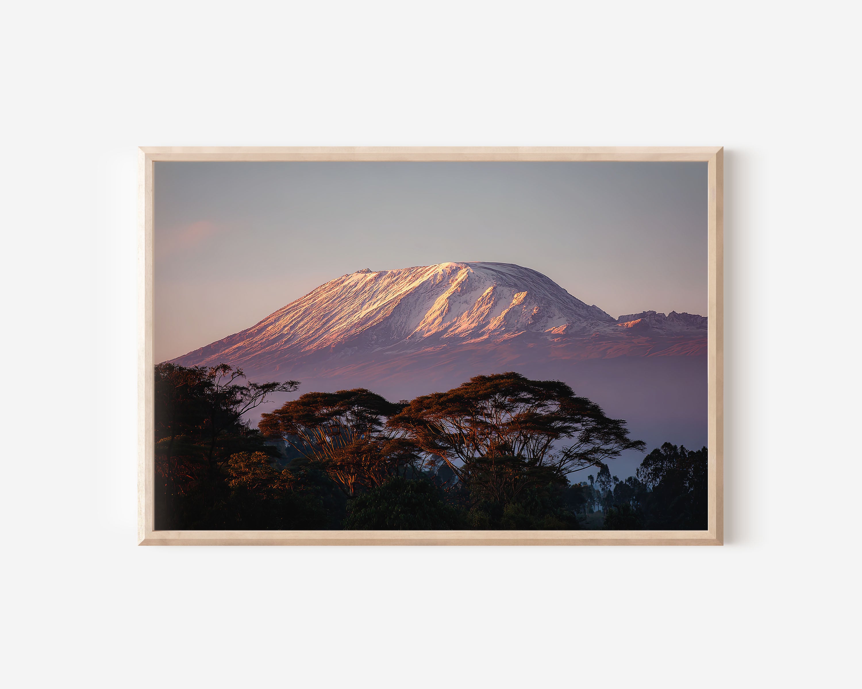 Kilimanjaro Tanzania Sunrise Print | Acacia Trees Alpenglow Wall Art