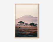 Kilimanjaro from Amboseli Wall Art Print | Kenya Safari Acacia Tree Savanna Dawn Photography | Africa Travel Poster | Neutral Boho Home Decor