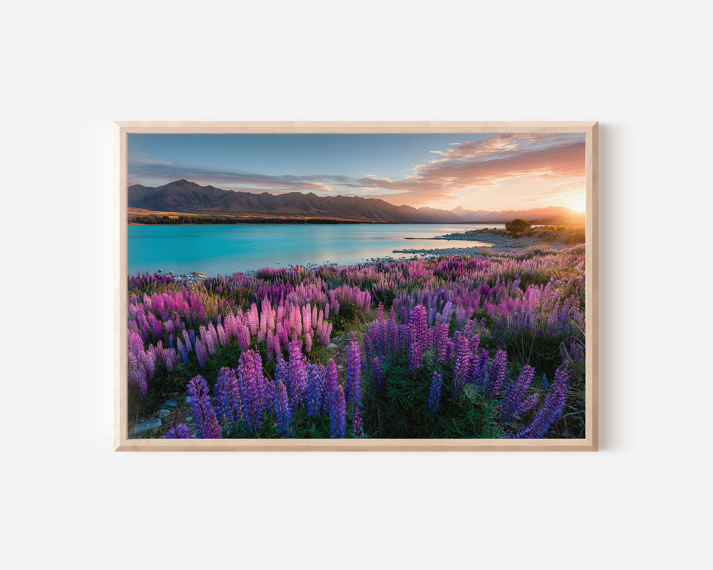 Lake Tekapo New Zealand Lupins Print | Turquoise Water Sunset Wall Art