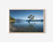 Lake Wanaka Lone Tree Wall Art Print – New Zealand Reflection Landscape