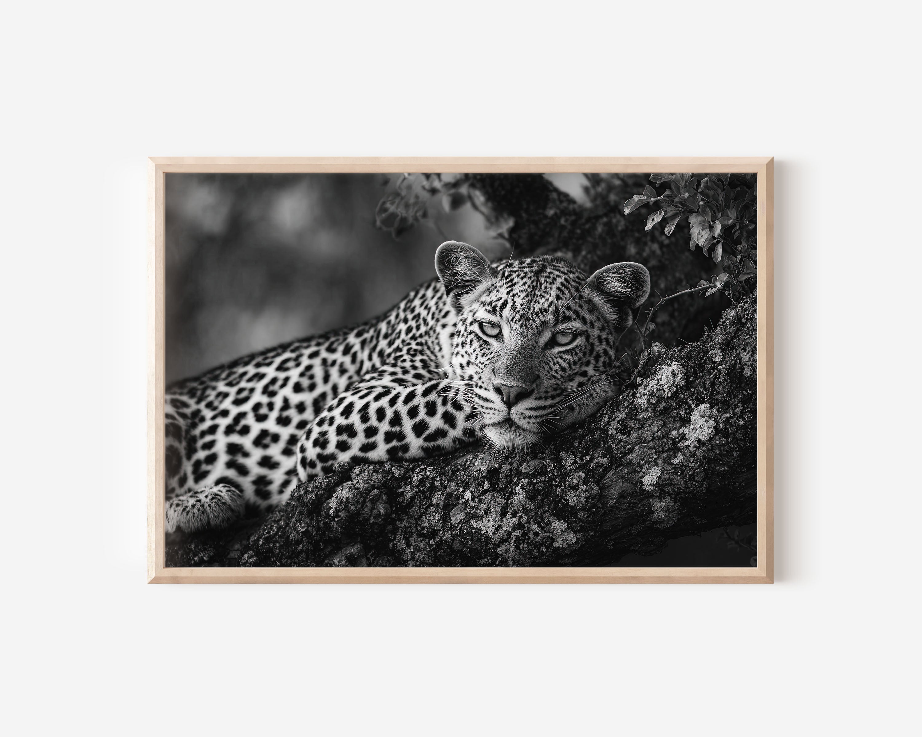 Leopard Portrait Black & White Wildlife Wall Art