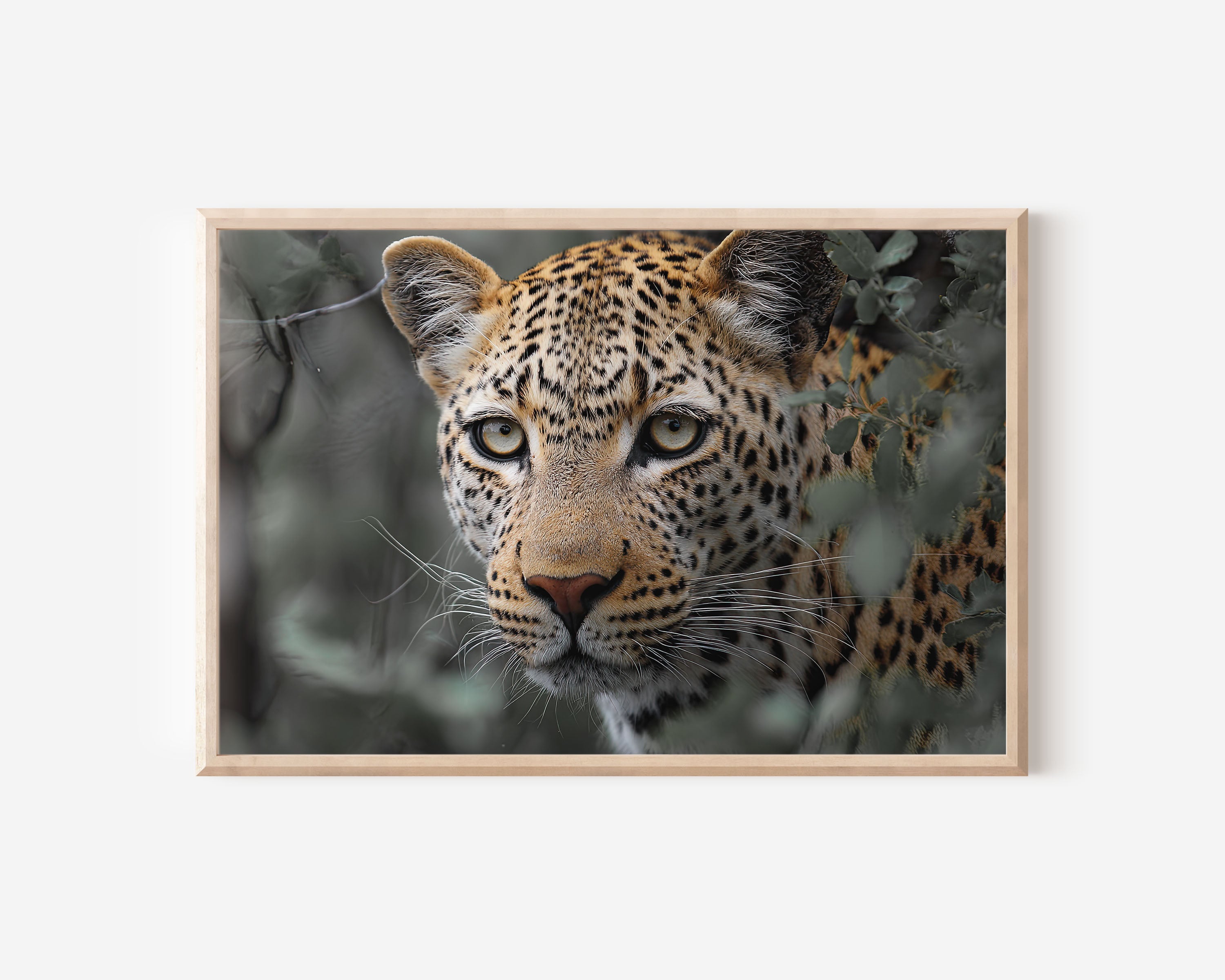 Leopard Portrait Wall Art – Savannah Wildlife Photography Print