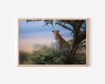 Leopard in Tree Safari Wall Art Print – African Wildlife Canvas