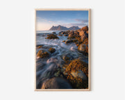 Lofoten Islands Rocky Coastline Print | Norway Coastal Wall Art | Lofoten Seaweed Rocks Silky Water Landscape Photography Poster