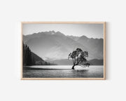Lone Tree Wanaka Wall Art Print – Black and White Lake Landscape