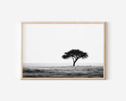 Lone Acacia Tree African Savannah Print | Black and White Safari Wall Art | Serengeti Minimalist Photography