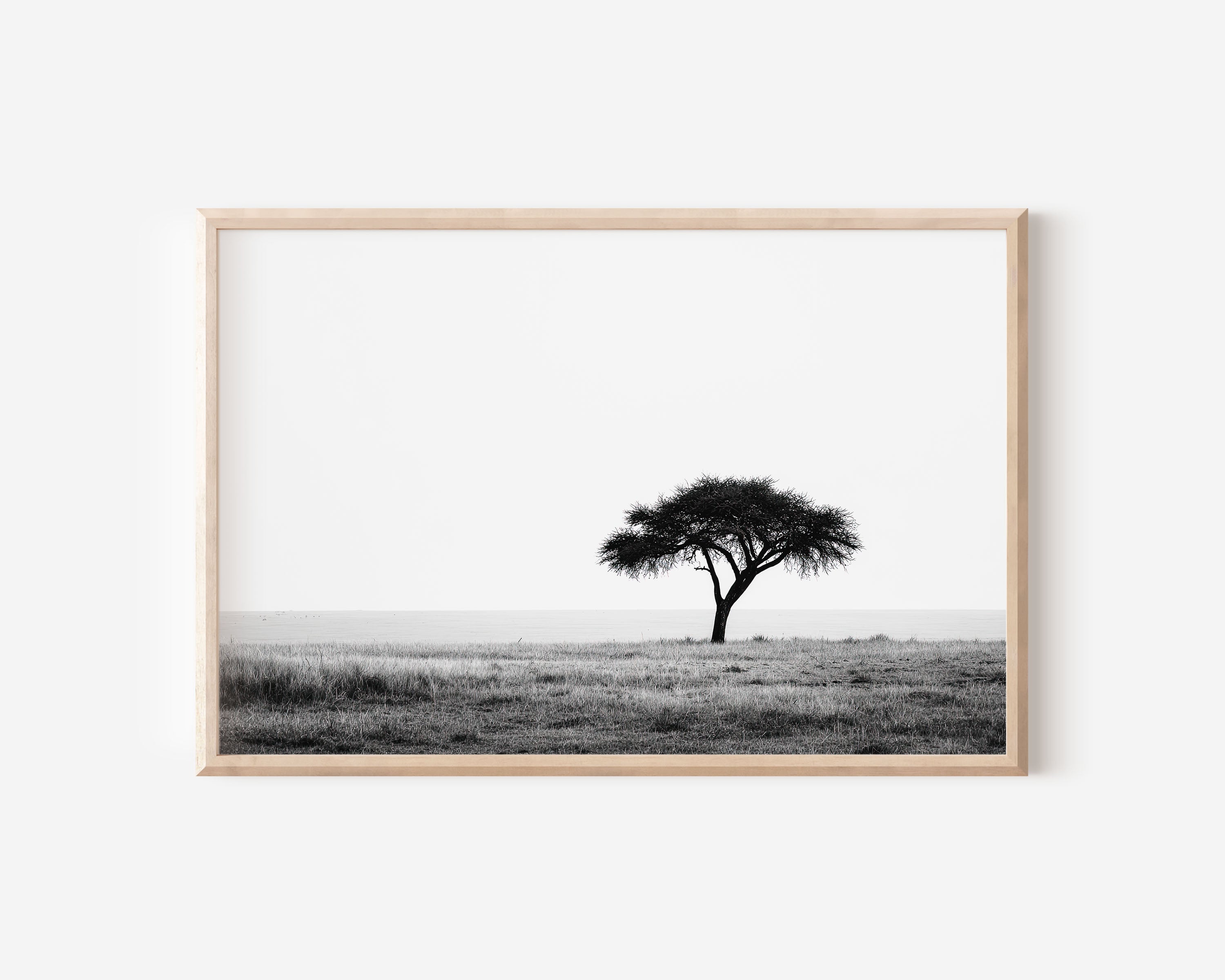Lone Acacia Tree African Savannah Print | Black and White Safari Wall Art | Serengeti Minimalist Photography