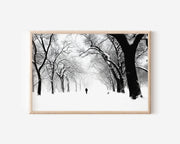 Snow-Covered Park Avenue Winter Print | Black and White Urban Trees Wall Art | Lone Figure Snowstorm Photography