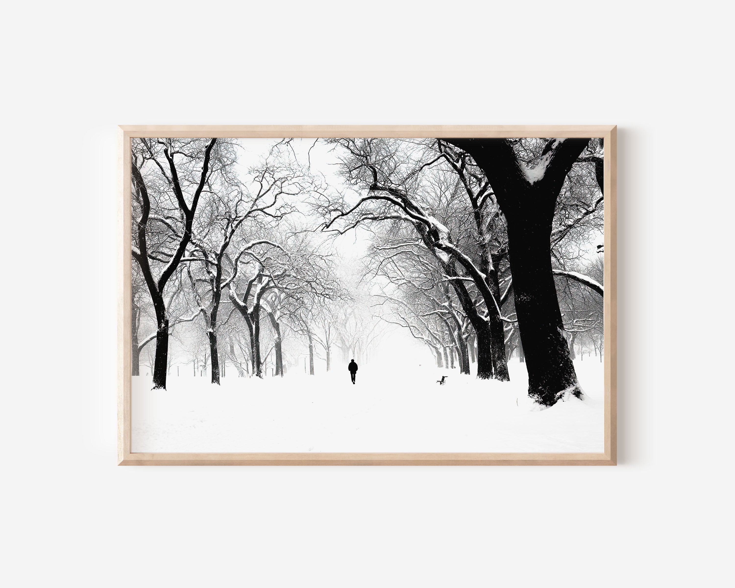 Snow-Covered Park Avenue Winter Print | Black and White Urban Trees Wall Art | Lone Figure Snowstorm Photography