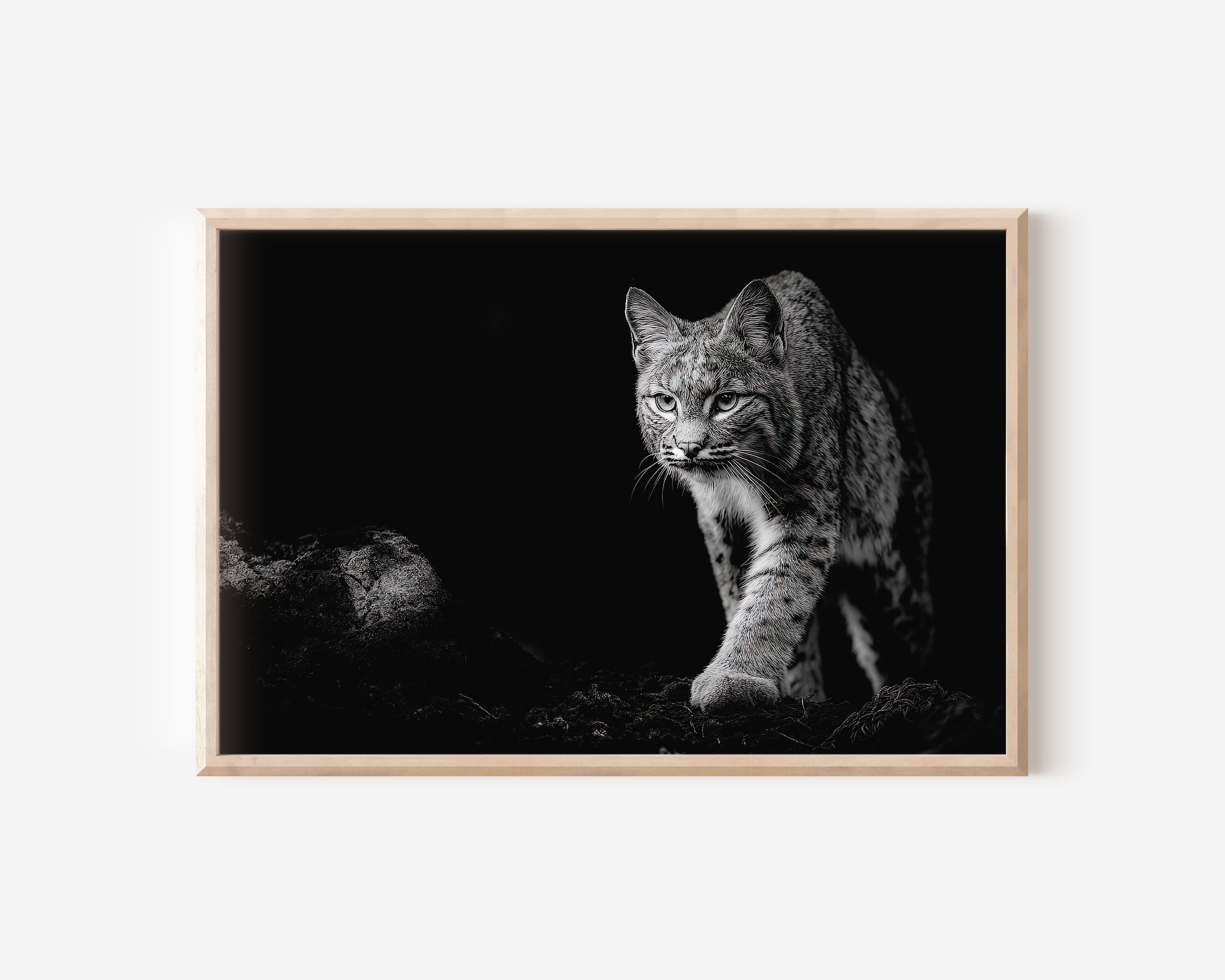 Lynx Black and White Wildlife Wall Art
