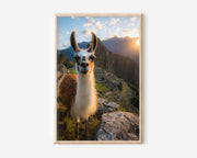 Machu Picchu Llama Wall Art Print – Peru Mountain Landscape Canvas & Framed Travel Decor