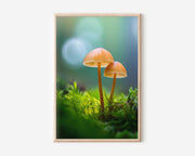 Forest Mushroom Macro Print | Enchanted Fungi Moss Wall Art | Magical Nature Photography
