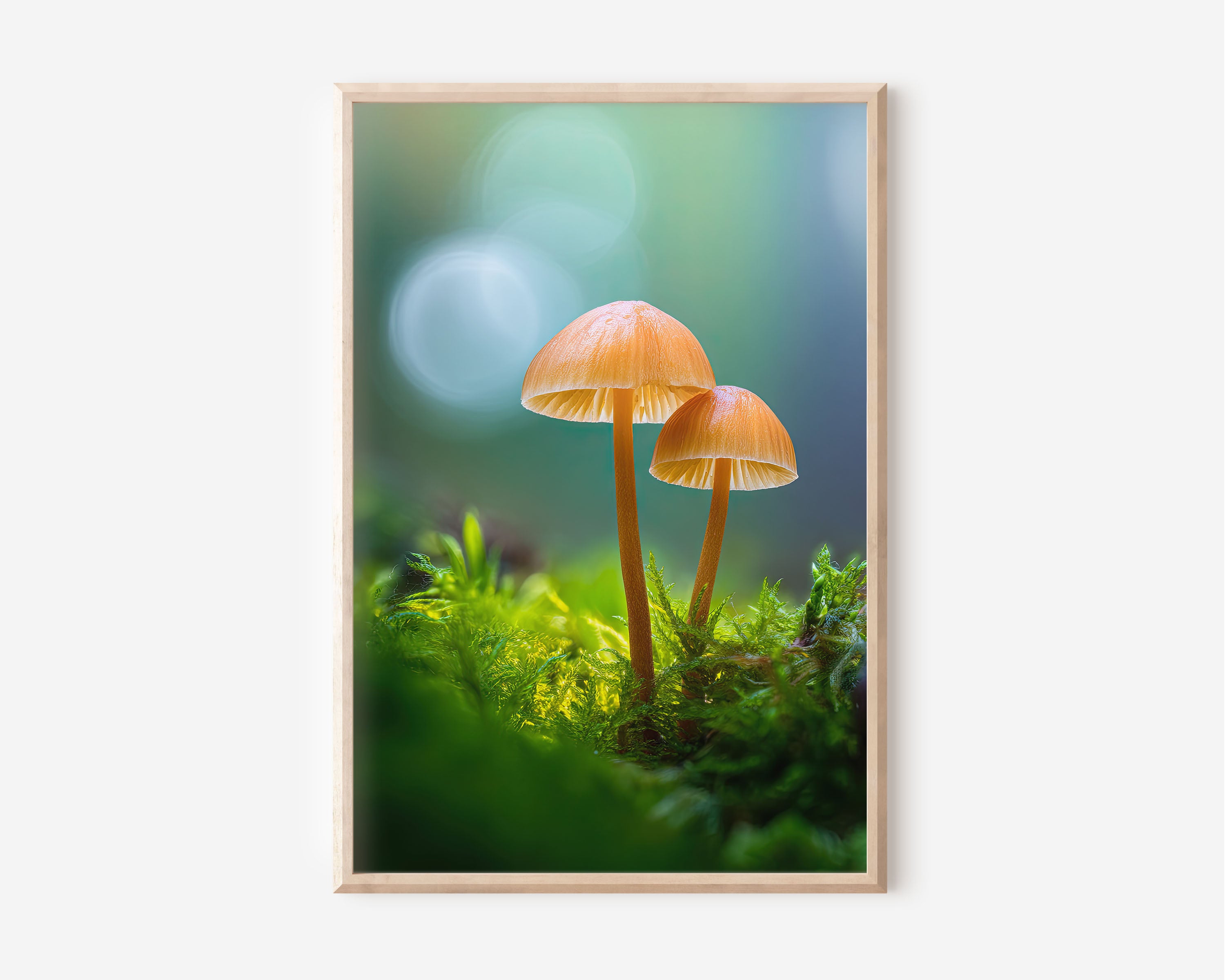Forest Mushroom Macro Print | Enchanted Fungi Moss Wall Art | Magical Nature Photography