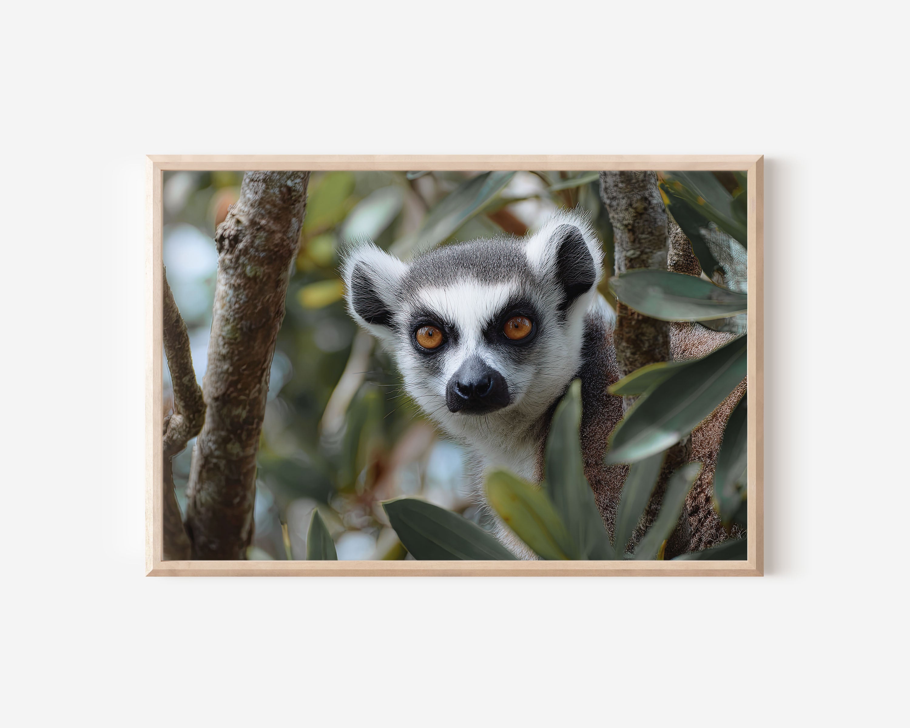 Madagascar Lemur Wall Art – Forest Wildlife Photography Print