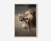 Majestic Lion Pair Wall Art – African Safari Canvas Print, Powerful Wildlife Decor
