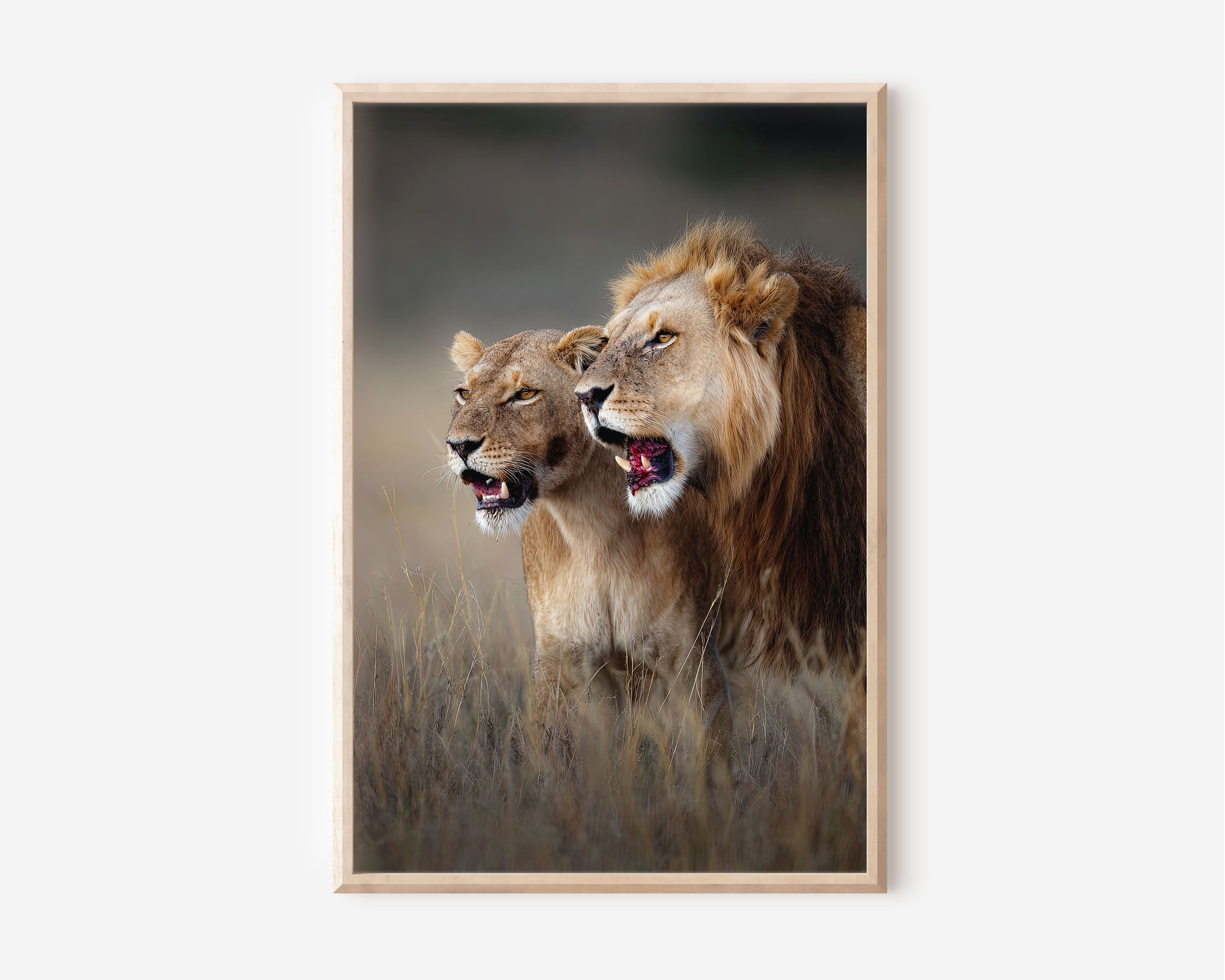 Majestic Lion Pair Wall Art – African Safari Canvas Print, Powerful Wildlife Decor