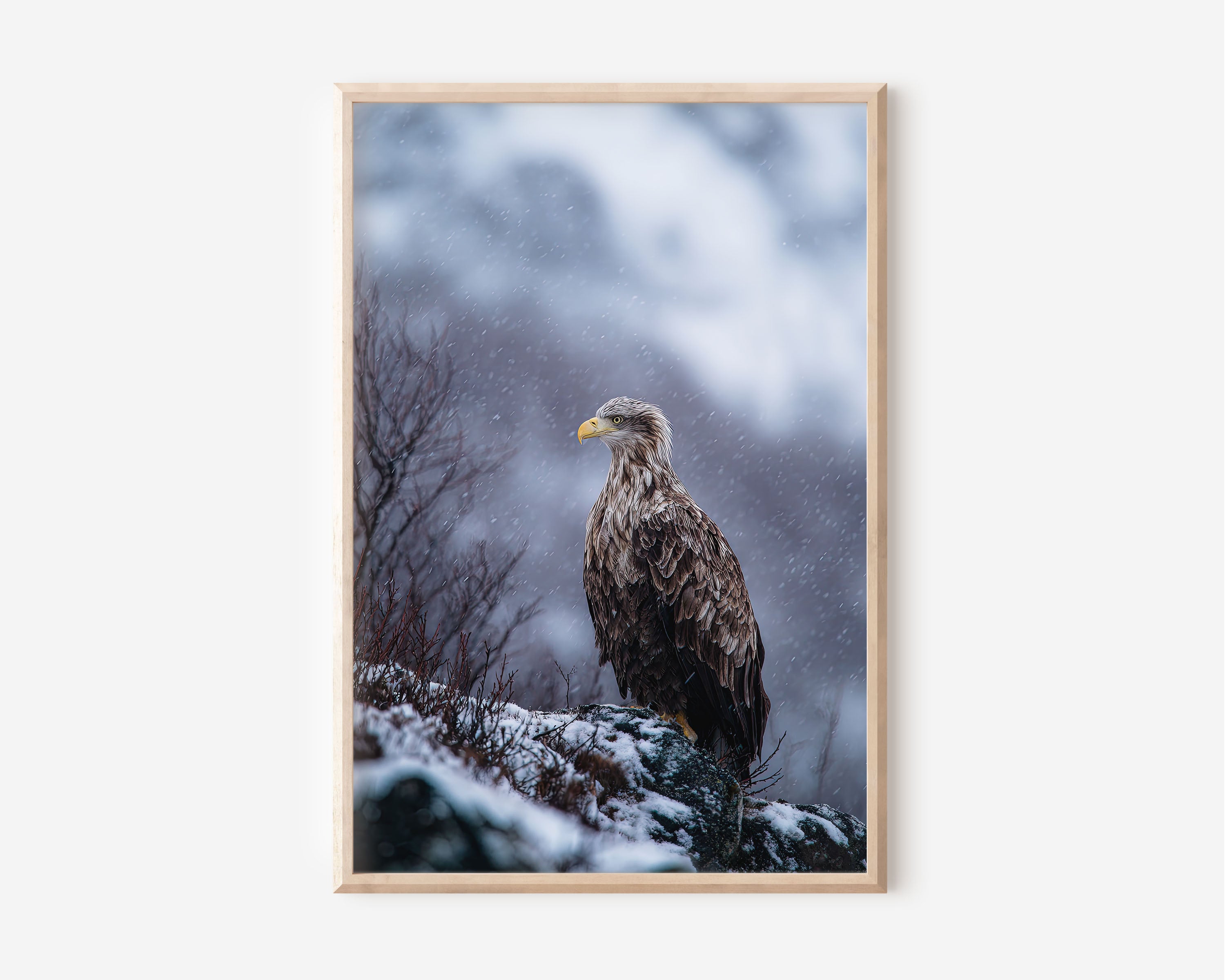 Majestic Sea Eagle Wall Art – Winter Wildlife Canvas Print, Snow Mountain Nature Decor