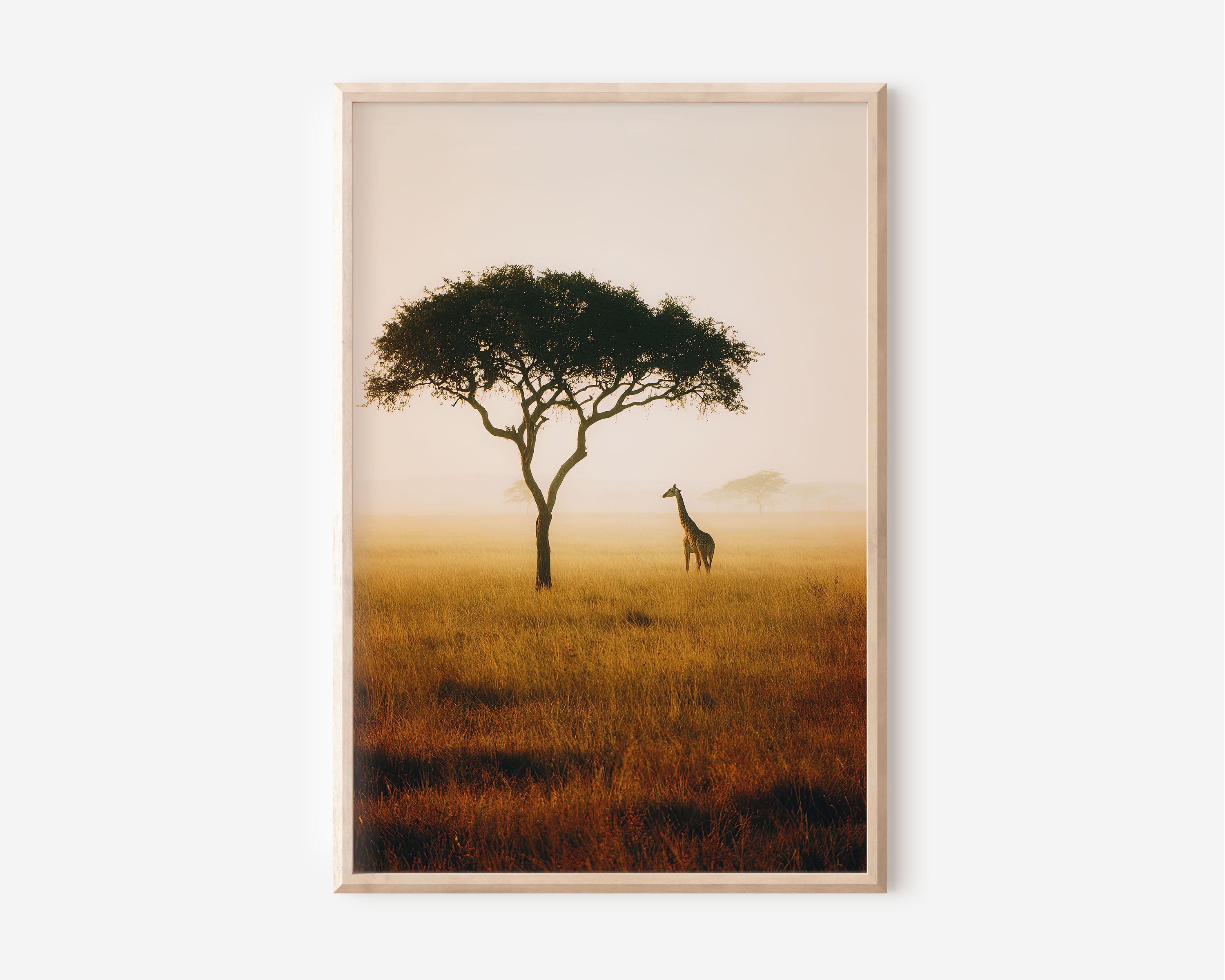 Masai Mara Golden Savannah Lone Giraffe Acacia Tree Misty Morning Wall Art Print | Kenya Africa Wildlife Photography Poster | Safari Nature Decor