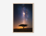 Milky Way Tree Wall Art Print | African Savanna Night Sky Canvas Decor