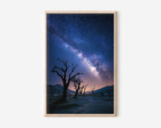 Milky Way Desert Wall Art Print | Dead Tree Night Sky Landscape Decor