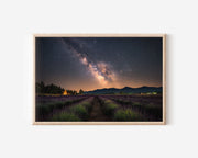 Milky Way Over Lavender Field – Night Sky Wall Art Print
