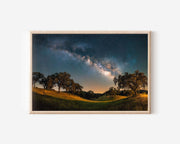Milky Way Over Oak Trees Wall Art – Night Sky Landscape Print