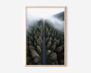 Misty Forest Road Aerial Wall Art Print | Alpine Fog Highway Photography | Dark Green Pine Forest Overhead Poster