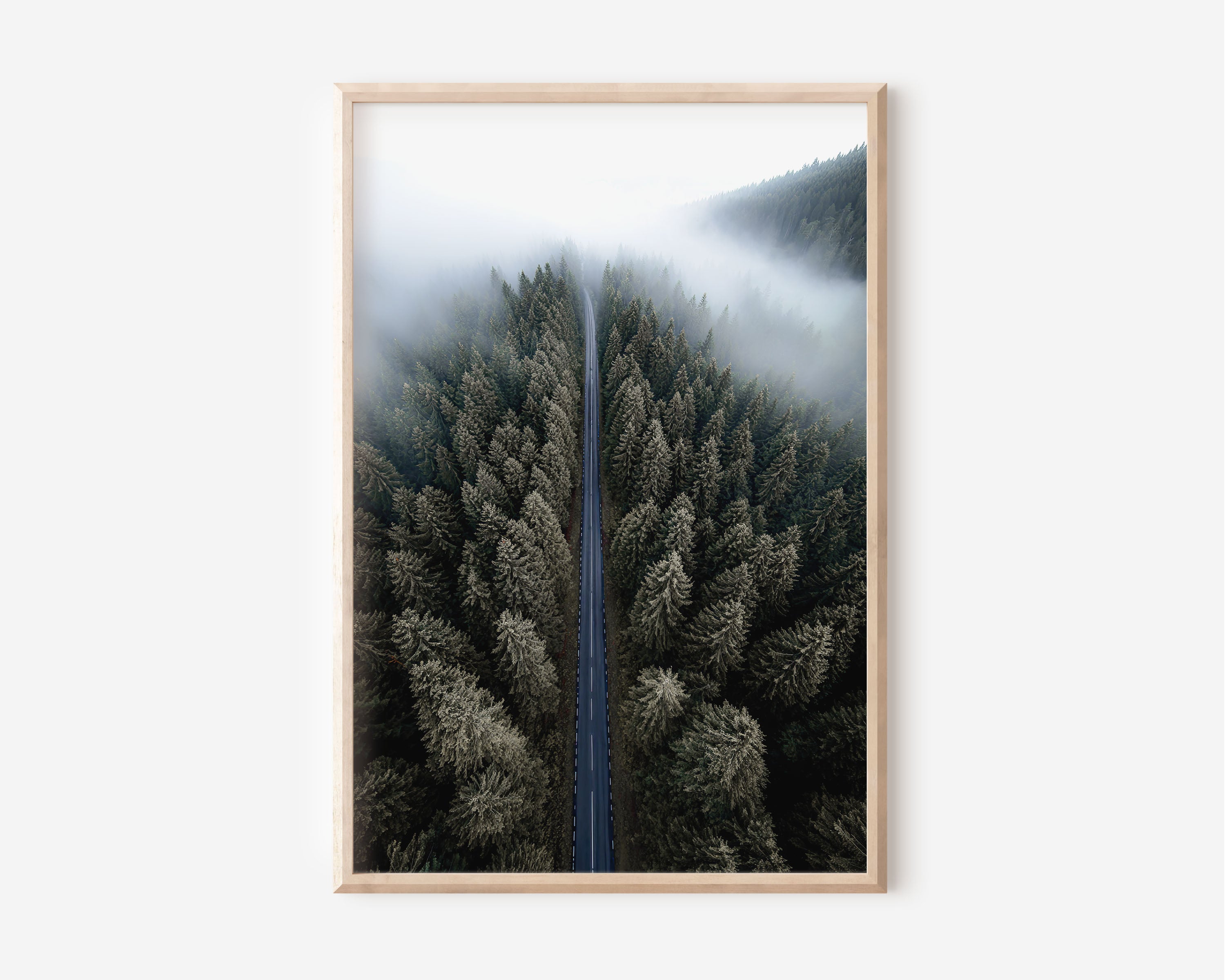 Misty Forest Road Aerial Wall Art Print | Alpine Fog Highway Photography | Dark Green Pine Forest Overhead Poster