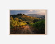 Tuscany Vineyard Wall Art – Montalcino Italy Sunset Wine Country Landscape Print
