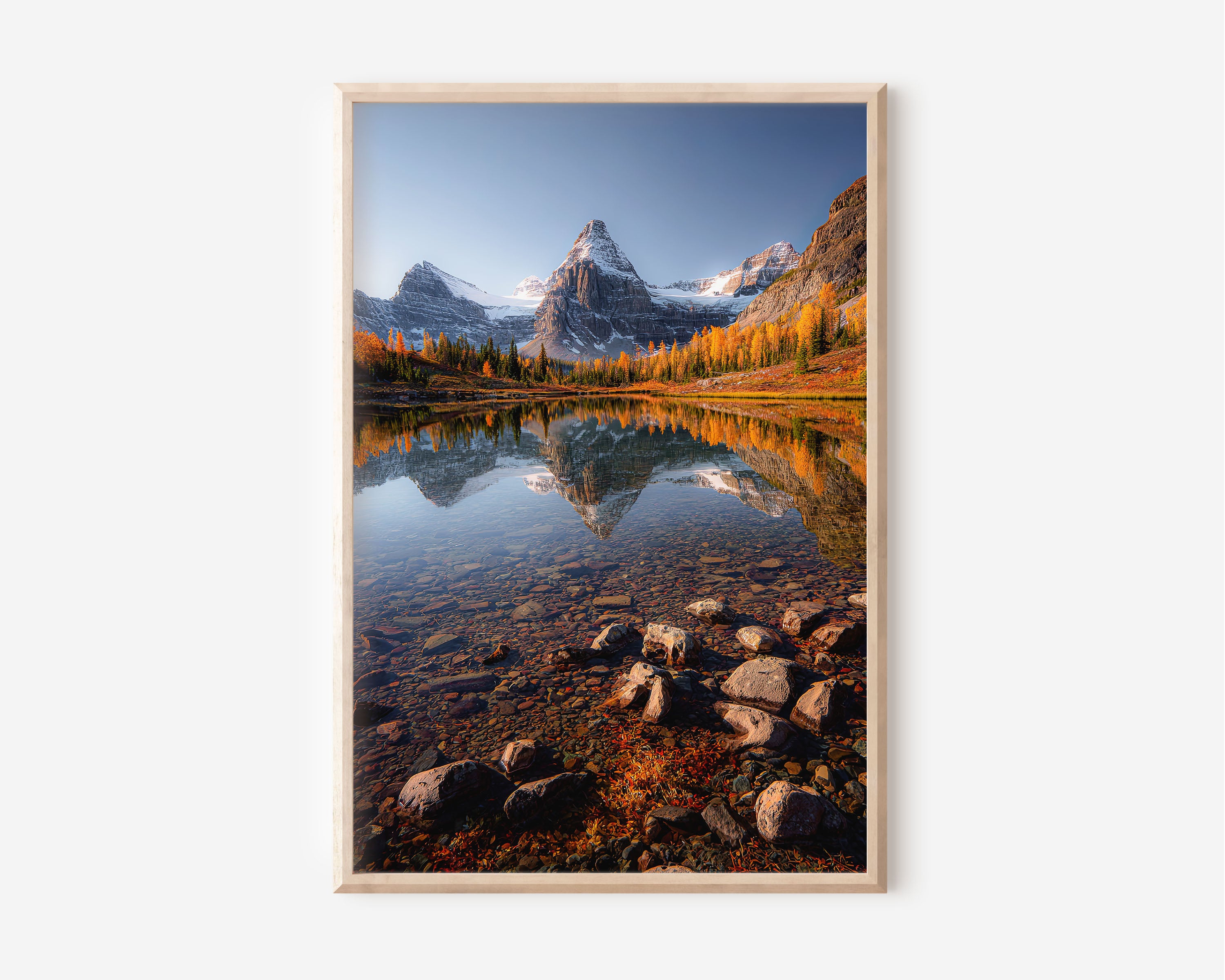 Mount Assiniboine Larch Reflection Print | Canadian Rockies Autumn Wall Art | Sunburst Lake Fall Landscape Photography Poster