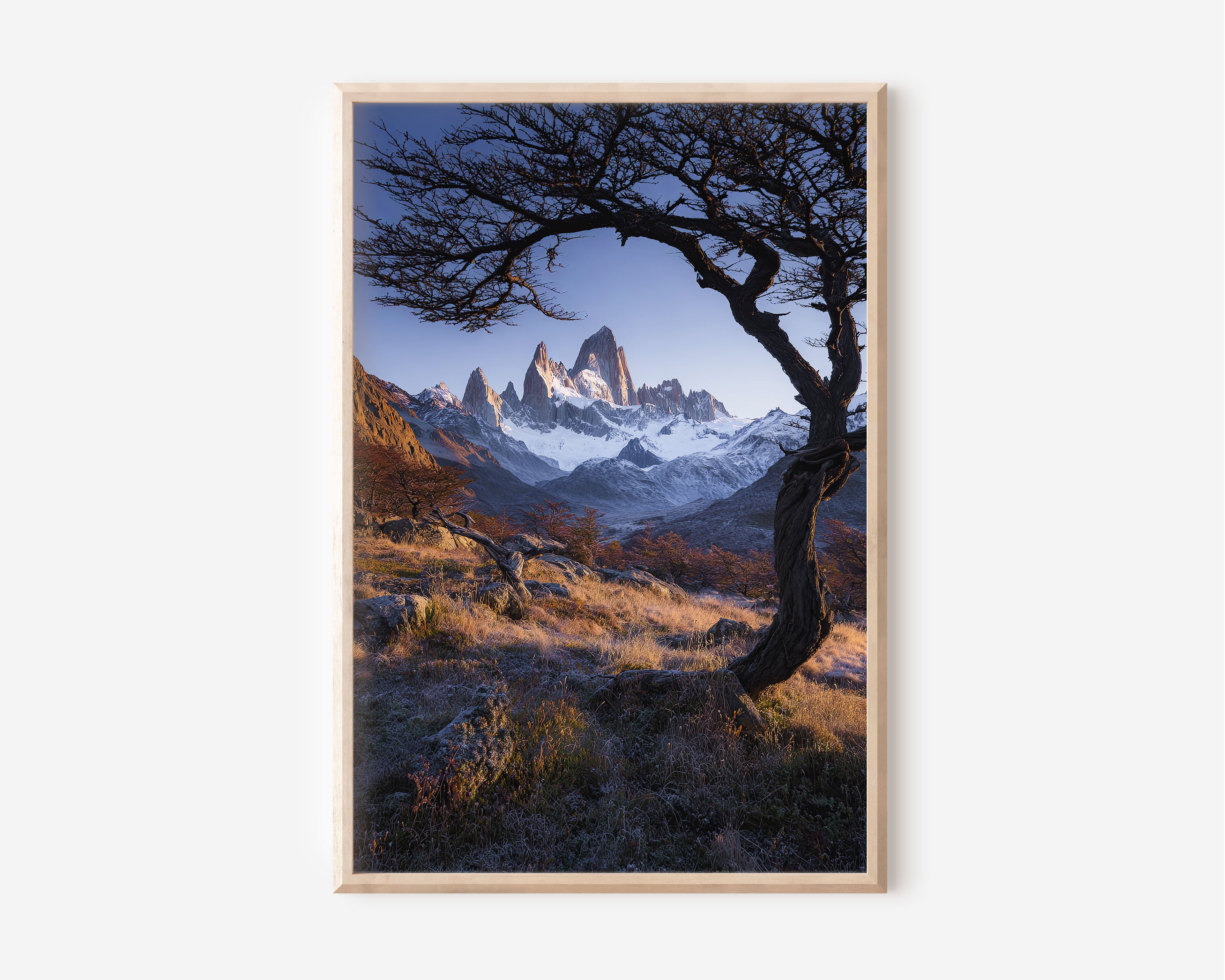 Mount Fitz Roy Lone Tree Print | Patagonia Autumn Sunrise Wall Art | El Chaltén Argentina Photography
