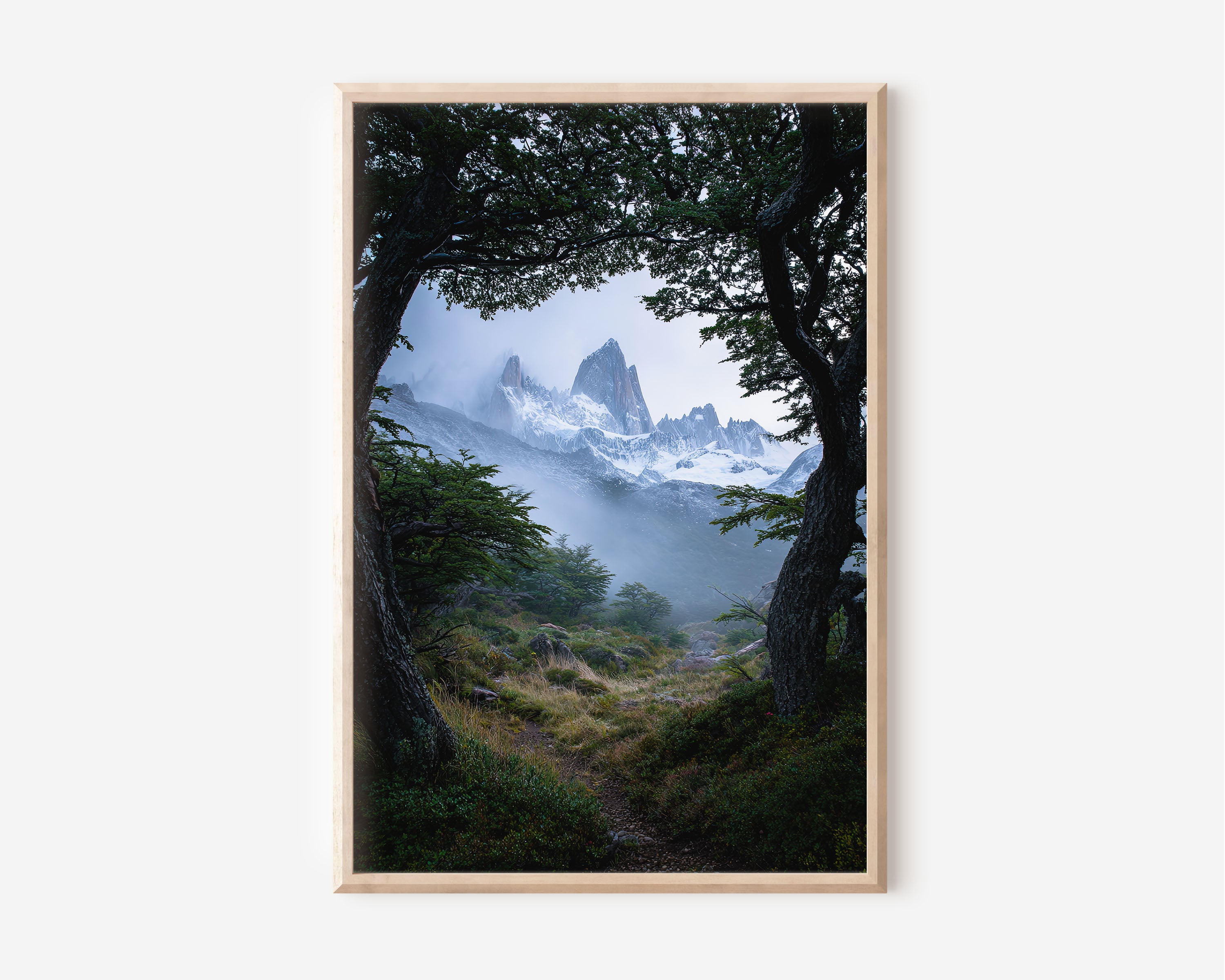 Mount Fitz Roy Misty Forest Trail Print | Patagonia Moody Blue Wall Art | El Chaltén Lenga Tree Frame Landscape Photography Poster