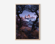 Mount Fitz Roy Through Trees Print | Patagonia Dawn Mountain Wall Art | El Chaltén Argentina Photography