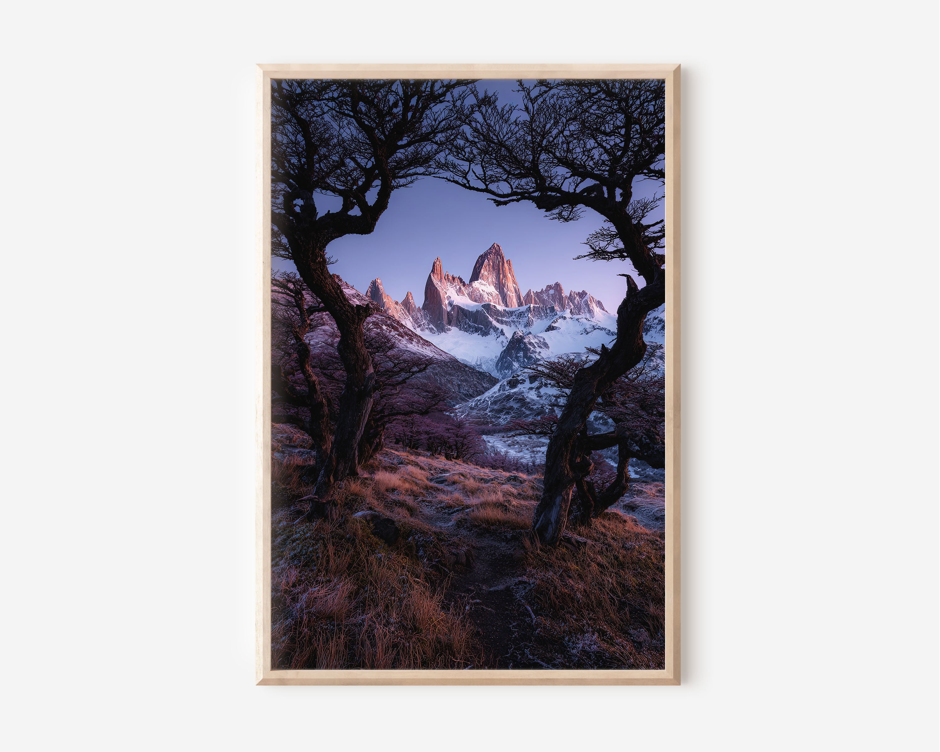Mount Fitz Roy Through Trees Print | Patagonia Dawn Mountain Wall Art | El Chaltén Argentina Photography
